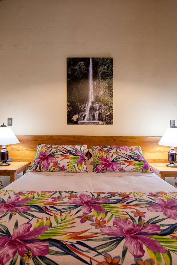 Hotel Valdivia Plaza Jardín Eksteriør billede